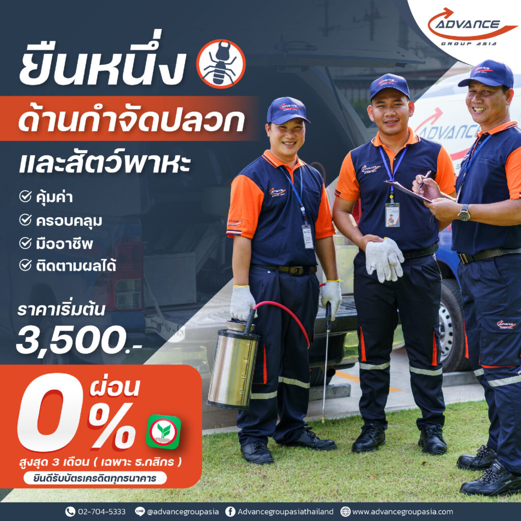 pro 0 3 เดือน | แอ๊ดวานซ์ กรุ๊ป เอเซีย บริษัท กำจัดปลวก กำจัดแมลง ทำความสะอาด